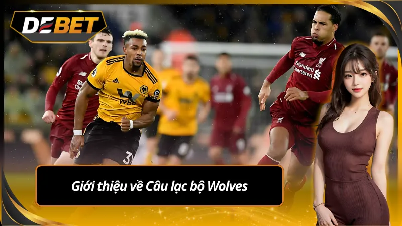 Giới thiệu về câu lạc bộ bóng đá Wolves