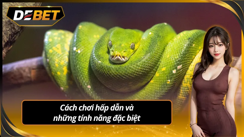 Hiểu cơ chế slot để chinh phục phần thưởng giá trị